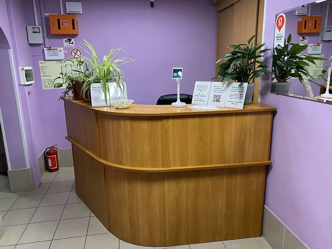 Лиза, Московская область: фото 3