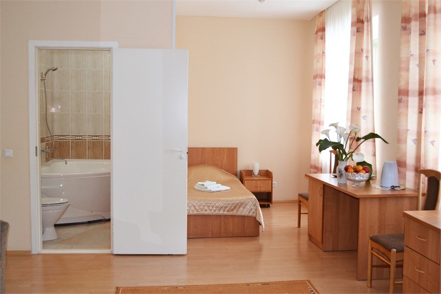 Комфорт 1-местный (корпус 1, 2)