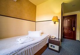 Standard 1-местный, СПА-отель Borjomi Palace, Боржоми