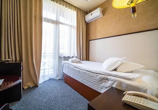 Standard 1-местный 1-комнатный