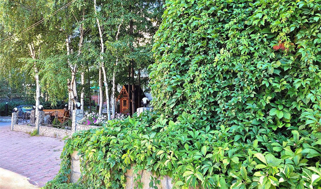 Визит, Пермский край: фото 5