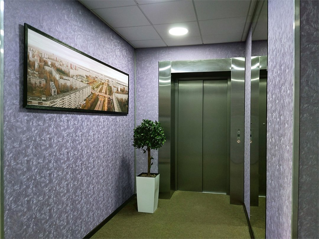 Крокус, Республика Татарстан: фото 4