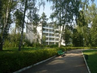 Зеленый городок, Ивановская область: фото 4