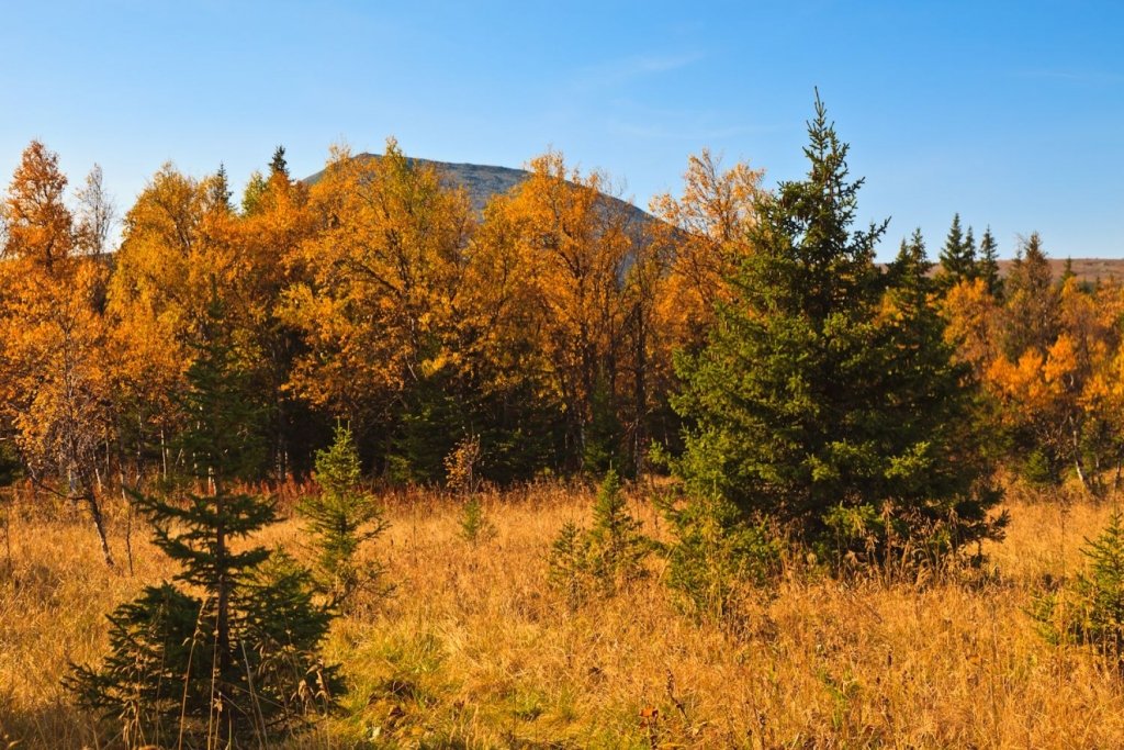 Коттеджный комплекс Таежное, Челябинская область: фото 4