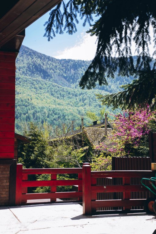 Вилла Лилиан, Краснодарский край: фото 2