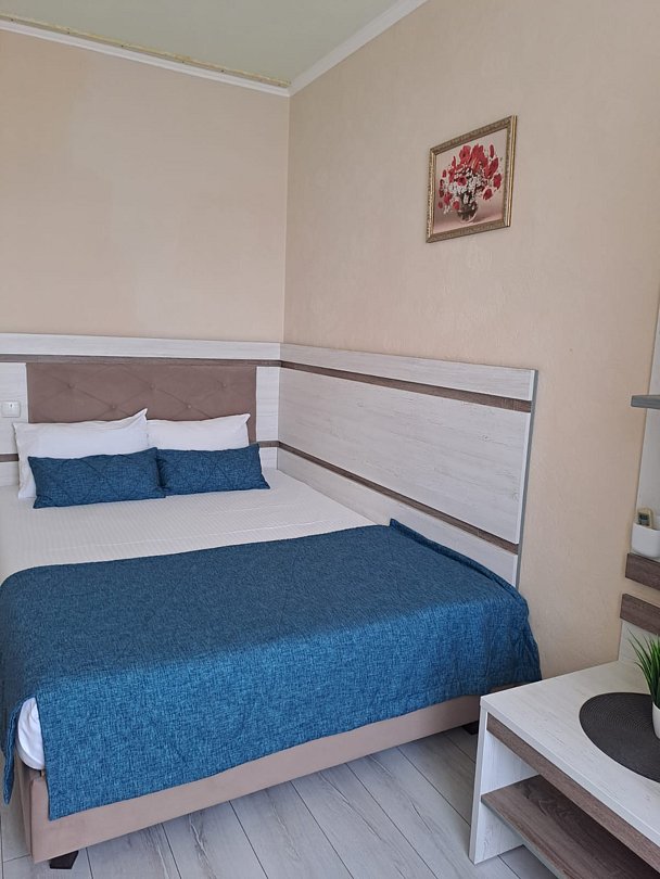 Номер 3-местный (№1)