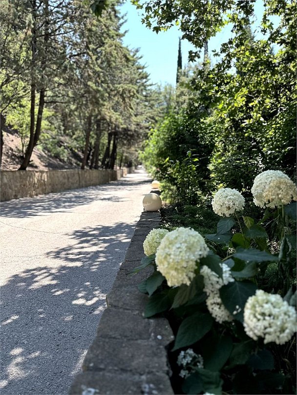 Гостиница Экоотель «Алые Паруса», Алушта, Крым