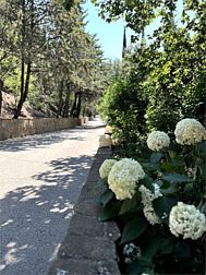 Гостиница Экоотель «Алые Паруса»