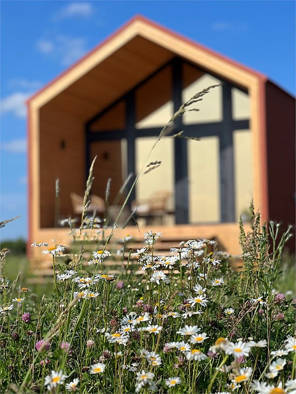 База отдыха Happy Farm, Калужская область, Медынский район 