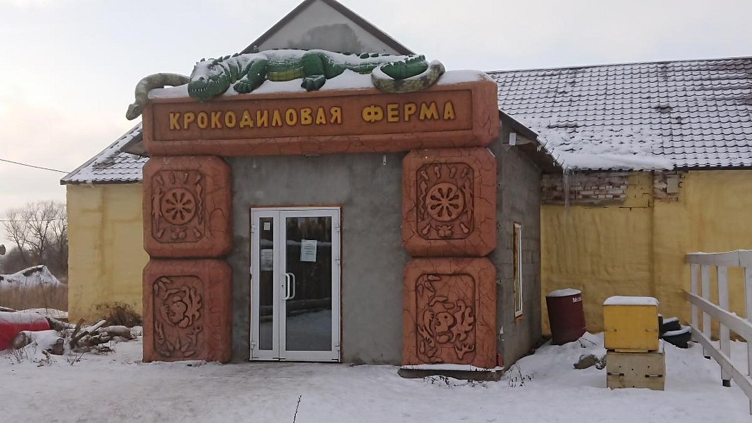 ЭкоДеревушка, Московская область: фото 5