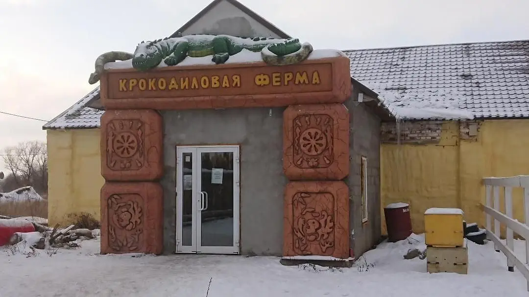 ЭкоДеревушка, Московская область: фото 5