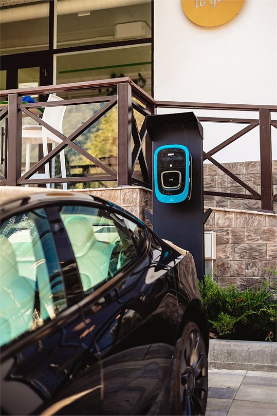 Регул, Краснодарский край: фото 4