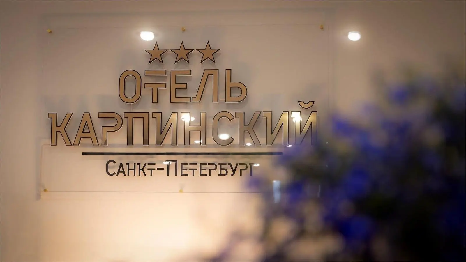 Отель "Карпинский"***, Ленинградская область: фото 2