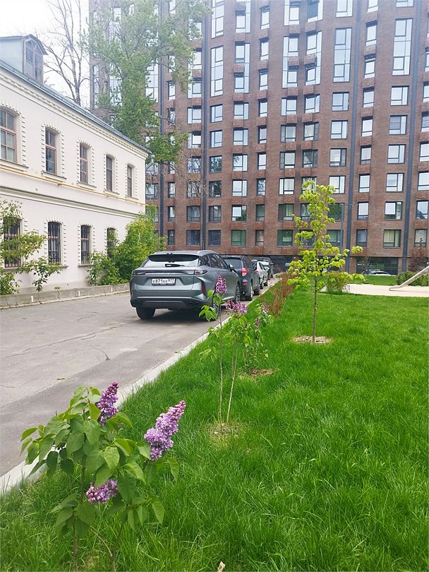 NORKA, Московская область: фото 3