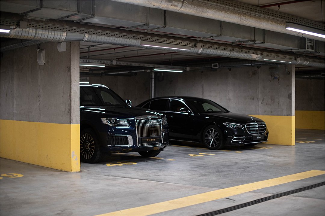 DOMINA Пулково Отель, Ленинградская область: фото 5