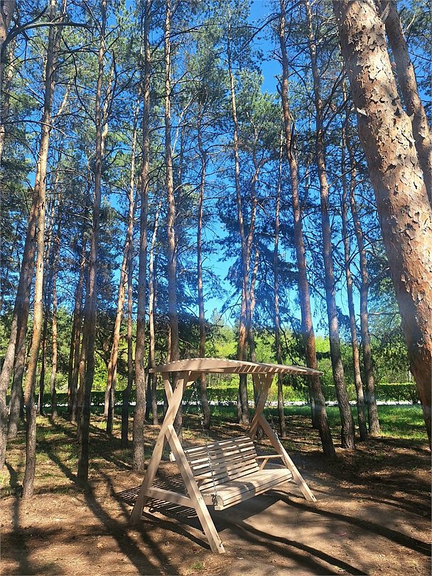 АО "Гостиничный комплекс "Иртыш", Омская область: фото 4