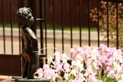 "Ирис", Владимирская область: фото 2