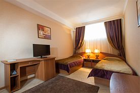 Стандарт двухместный TWIN, Отель Новый, Смоленск