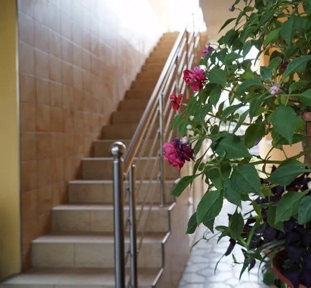 Мини Отель "Жасмин", Краснодарский край: фото 3