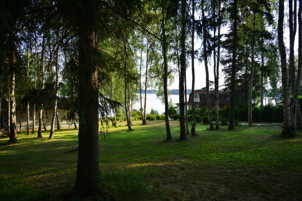 Эко комплекс Кантри Хоум, Ивановская область: фото 3