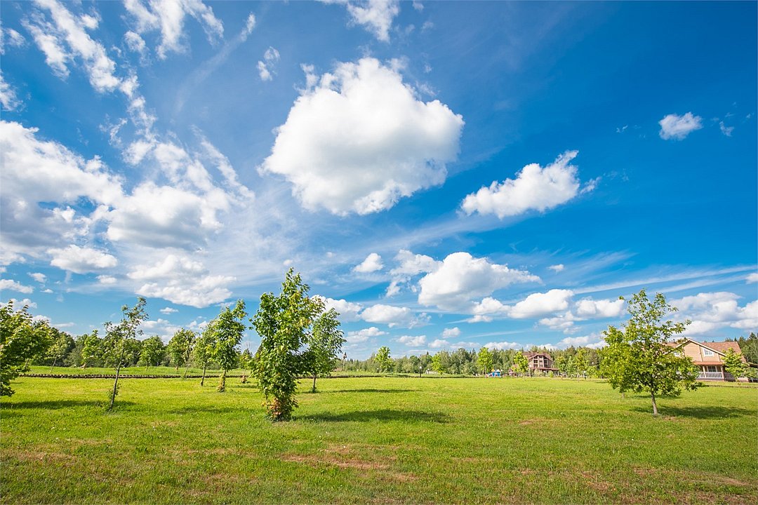 Эко-отель Лепота, Московская область: фото 4