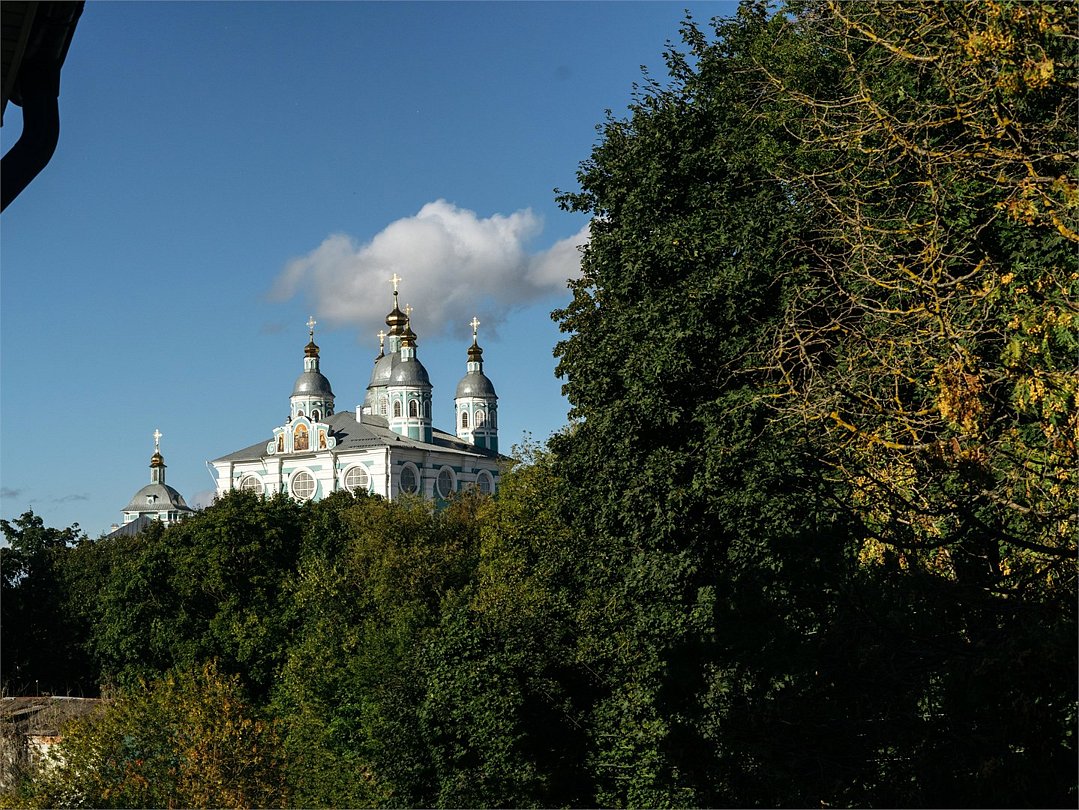 Респект, Смоленская область: фото 3