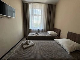 Двухместный номер Comfort 2 отдельные кровати, Санаторий Митино, деревня Митино