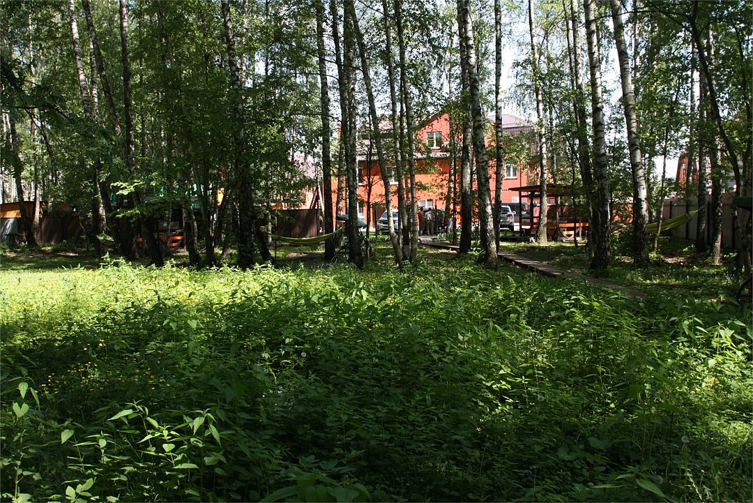 Uninn Vnukovo, Московская область: фото 4