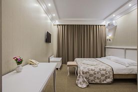 Стандартный двухместный номер с 1 кроватью, Отель Элегант (Томск), Томск
