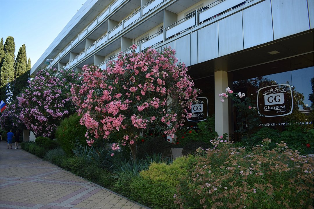 Сочи, Краснодарский край: фото 5