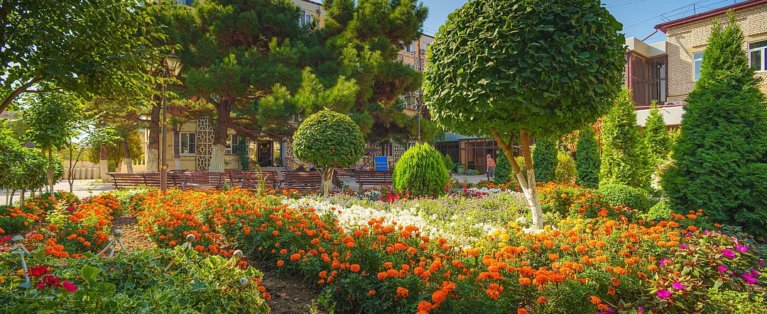 Санаторий "Первая Линия - Энергетик Каспийск", Республика Дагестан: фото 2