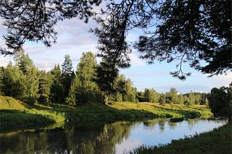 Санаторий-профилакторий "Сосновый бор"