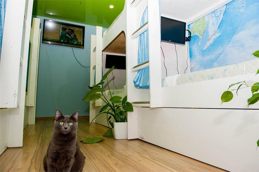 Зелёная Лампа, Приморский край: фото 3