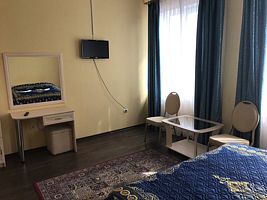 Двухместный бизнес с одной двуспальной кроватью, Отель Родник, поселок Пржевальское