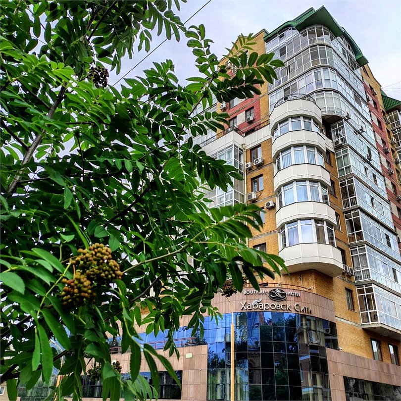 Хабаровск Cити, Хабаровский край: фото 3