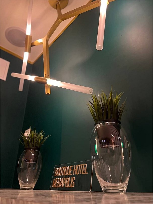 Megapolis, Ленинградская область: фото 3