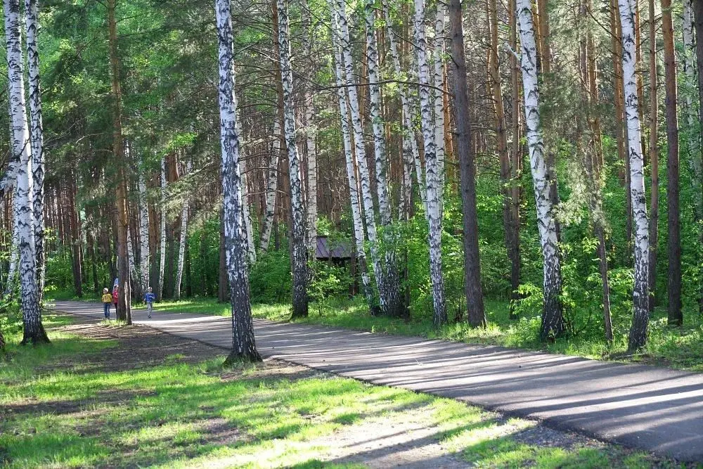 Карагайский бор, Челябинская область: фото 5