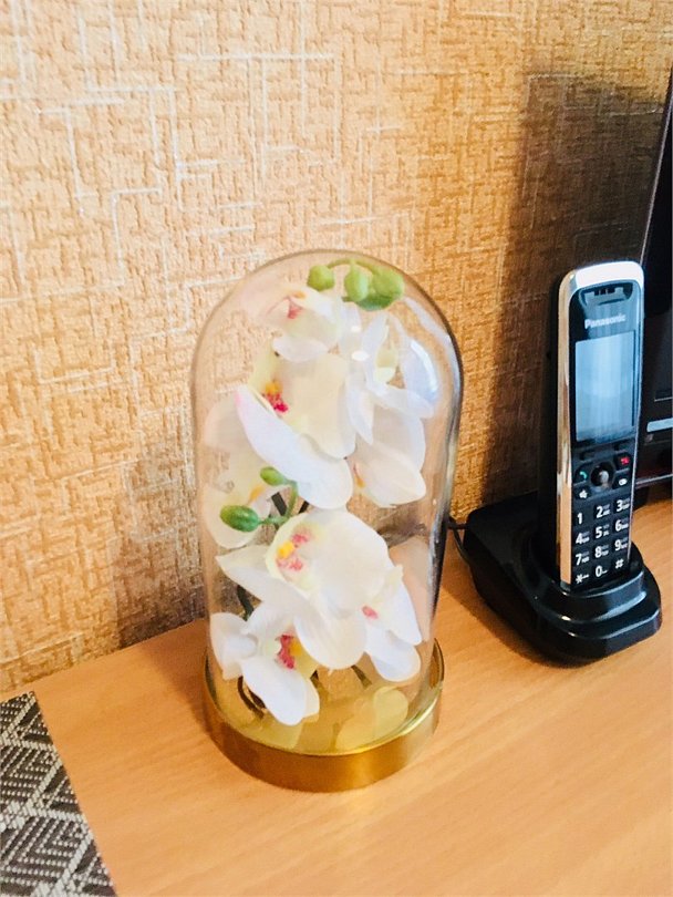 Меблированные комнаты "Звёздный", Ленинградская область: фото 3