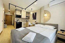 СТАНДАРТ (DOUBLE) № 206, Apart-Hotel BRAUN, Барнаул