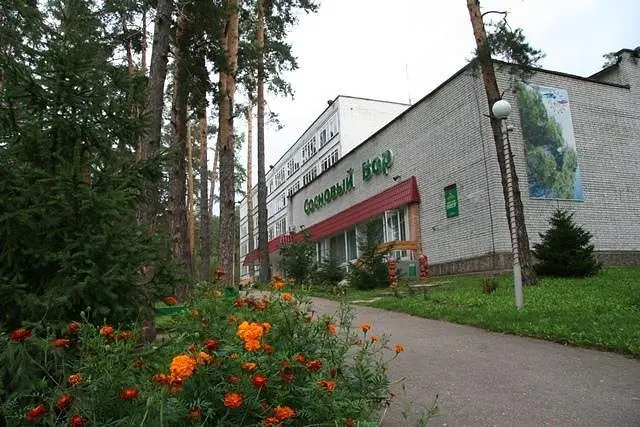 Сосновый бор, Ульяновская область: фото 4