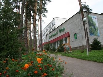 Сосновый бор, Ульяновская область: фото 2