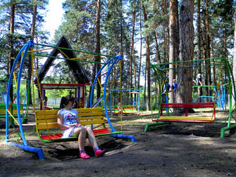 Сосновый бор, Ульяновская область: фото 4