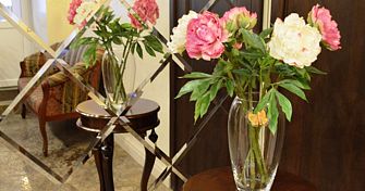 Отель Моника