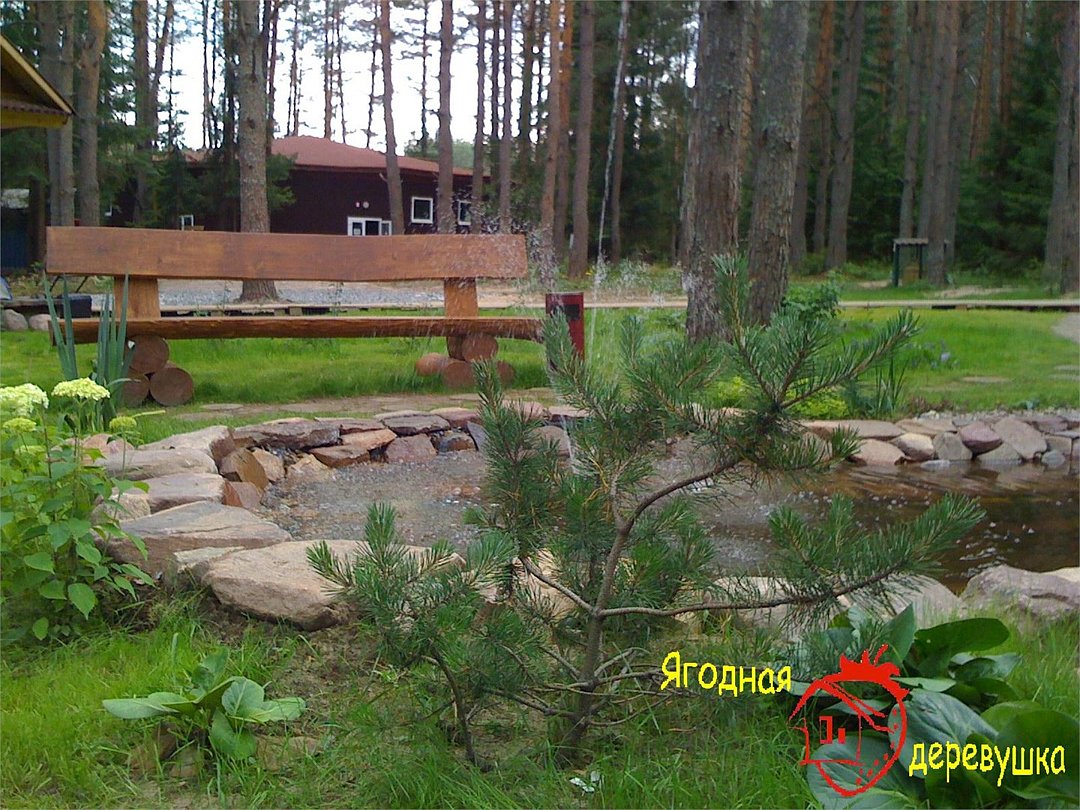 Ягодная деревушка, Нижегородская область: фото 2