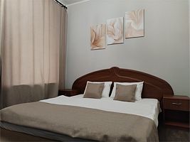 Улучшенный двухместный номер с одной кроватью и собственной ванной комнатой, Гостиница Адажио на Коломенской, Санкт-Петербург