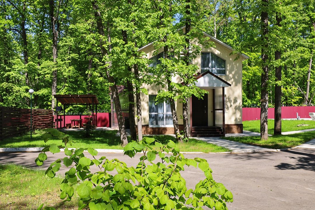 Дубрава, Самарская область: фото 3