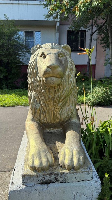 Леон, Московская область: фото 5