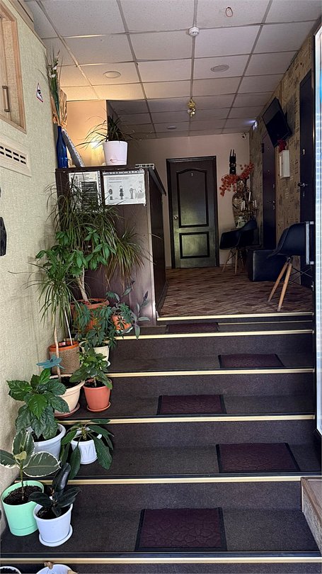 Леон, Московская область: фото 2