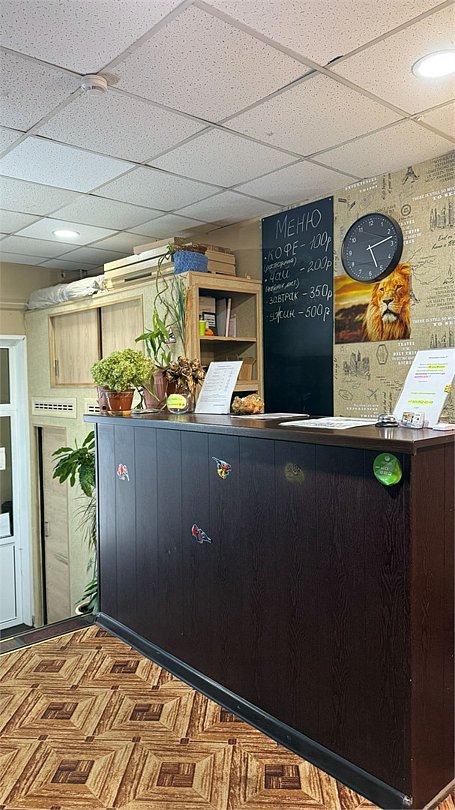 Леон, Московская область: фото 4