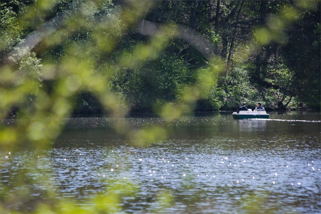 ОК "Десна", Московская область: фото 5